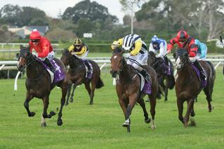 Haussmann (NZ) wins the Listed Great Northern Foal Stakes at Ellerslie. Photo: Trish Dunell